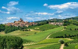 Venez découvrir le Piémont viticole  Roero, Langhe et Monferrato
